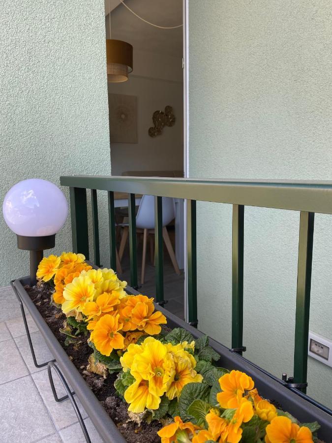 Valtellina Vacanze Sondrio Esterno foto